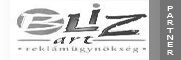 blizart